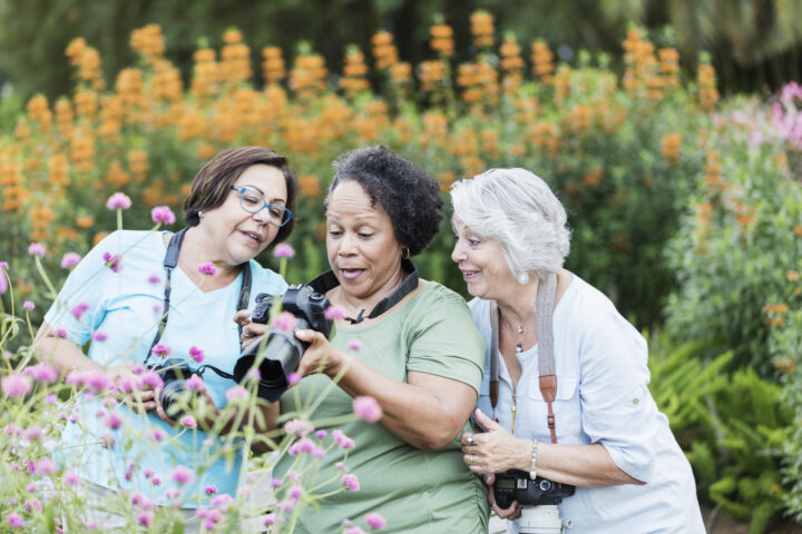 Three senior women taking photos in garden