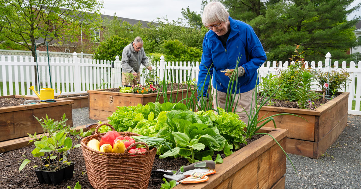 A woman working in the garden