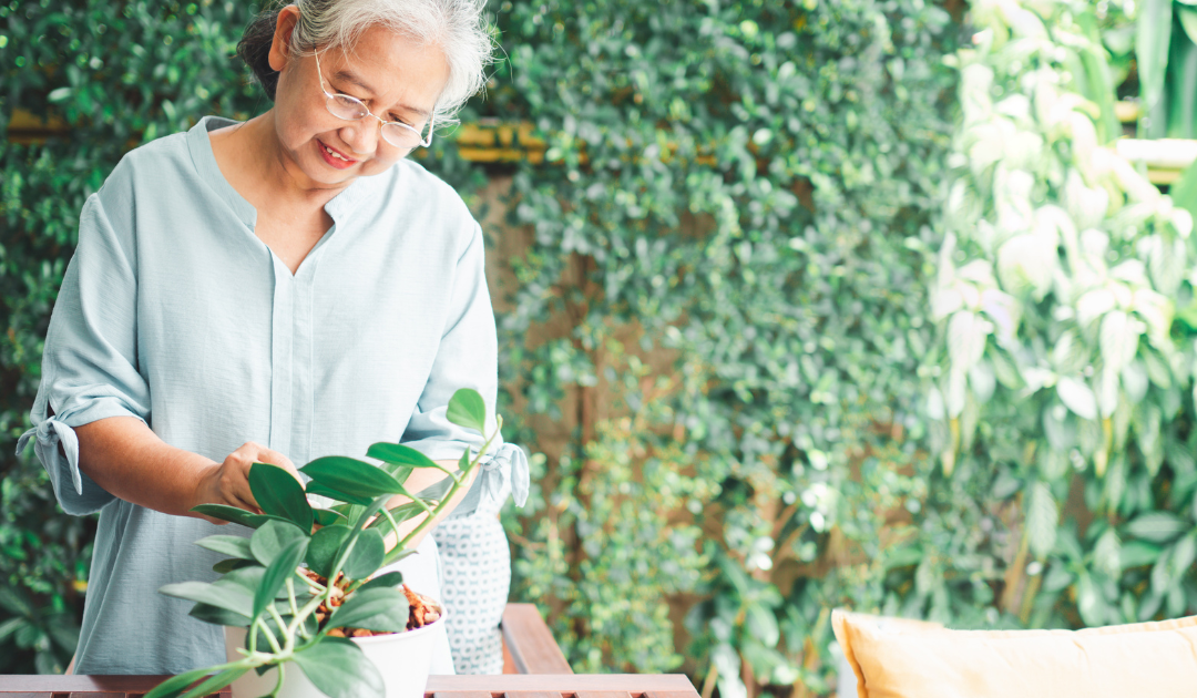 Exploring the Best Gardening Tools for Seniors