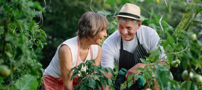 couple gardening