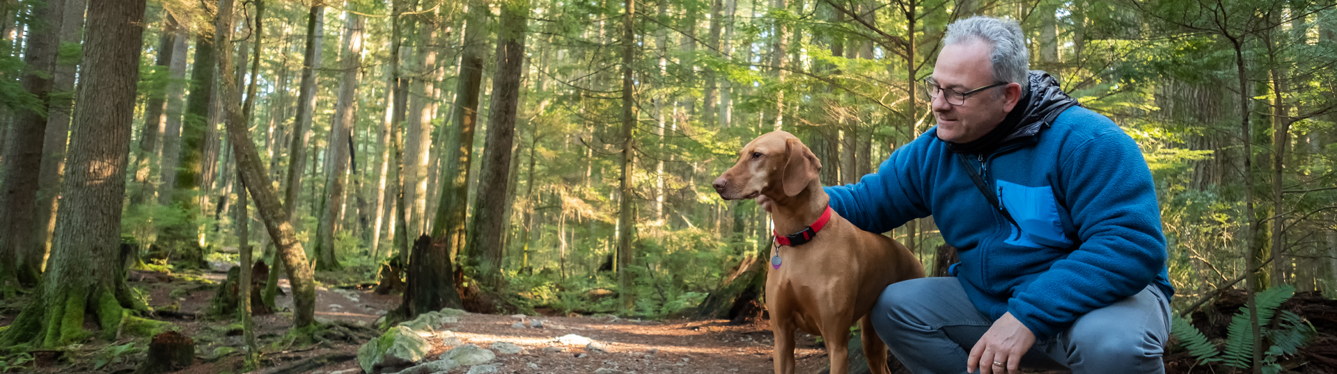 man petting brown dog in forest