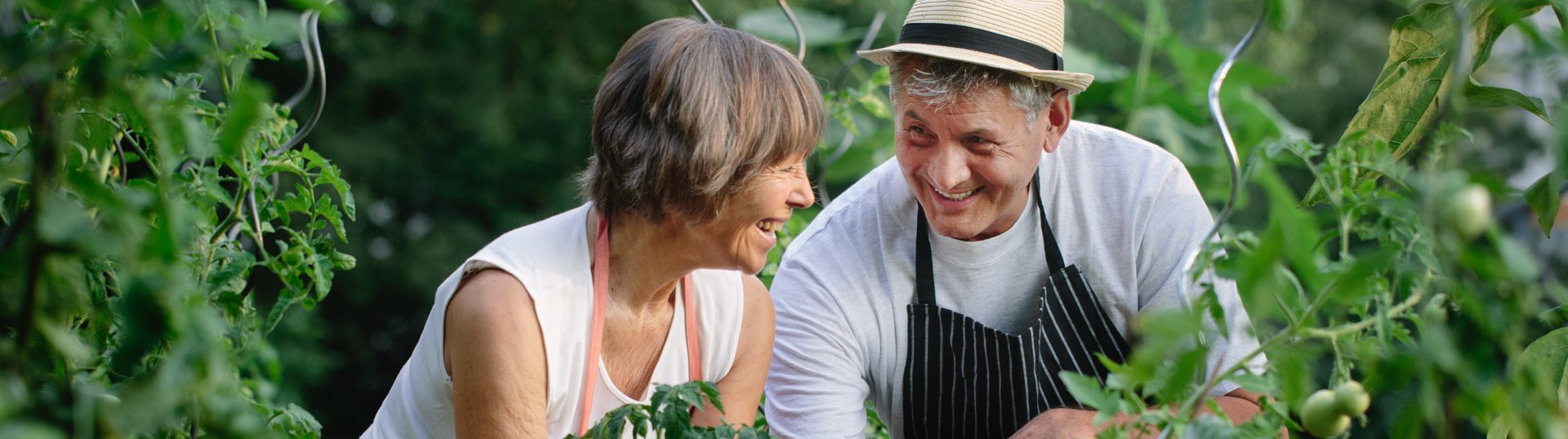 couple gardening