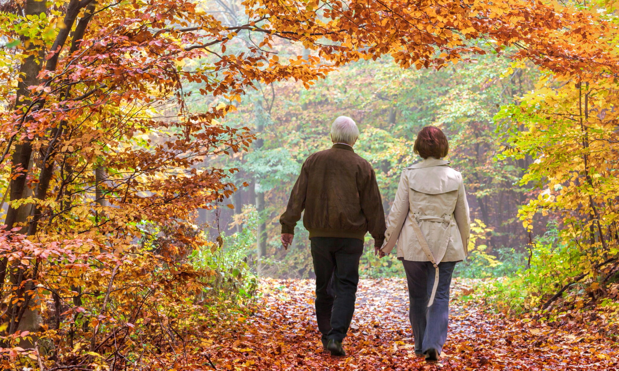 A scenic view of a couple holding hands and walking in a colorful woods during the fall.