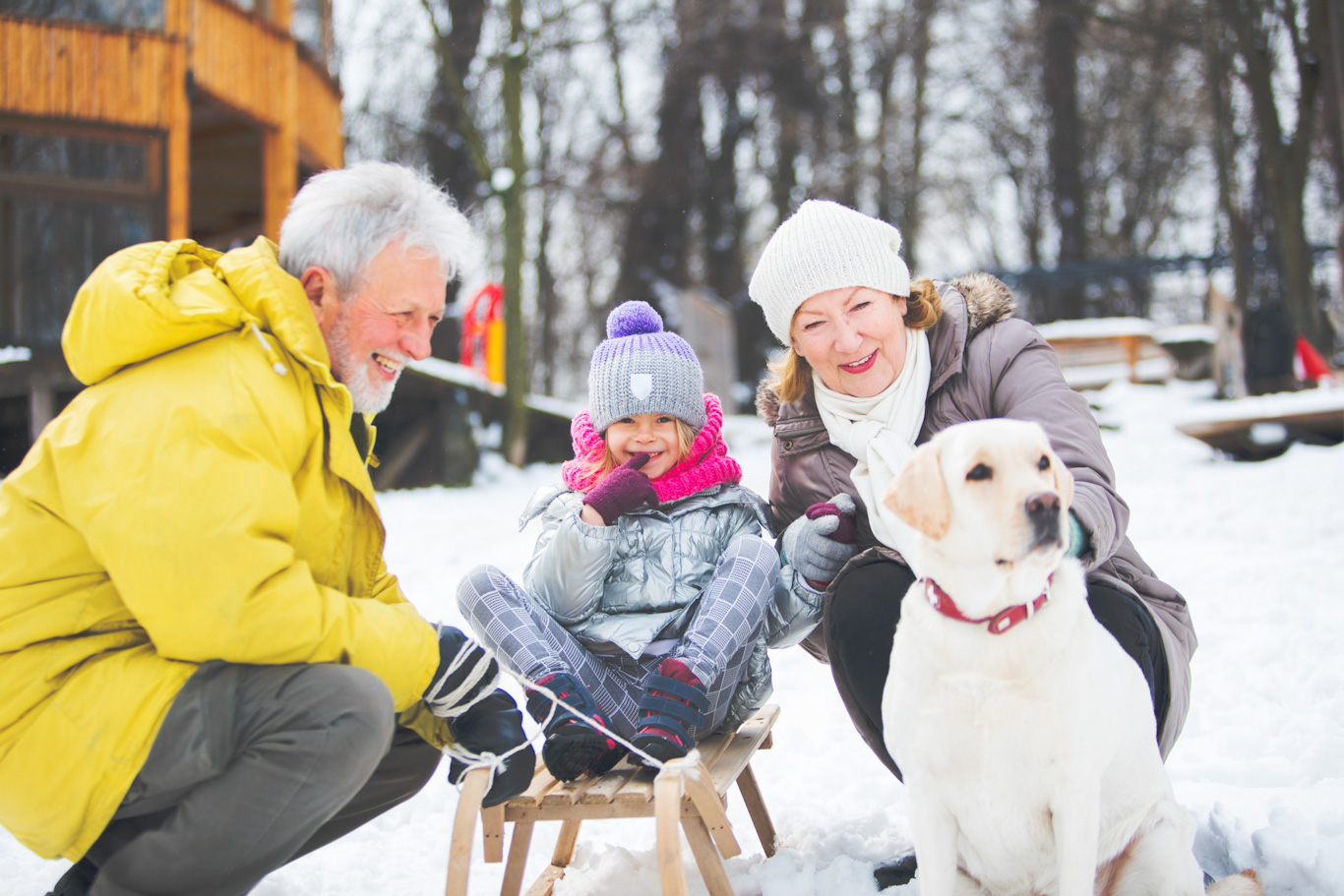 A senior couple kneel next to their young granddaughter sitting on a wooden sled and a yellow labrador.