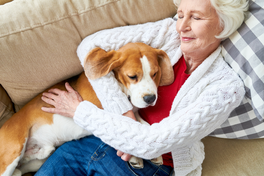 A senior woman laying on a cough and cuddling her tan and white dog.