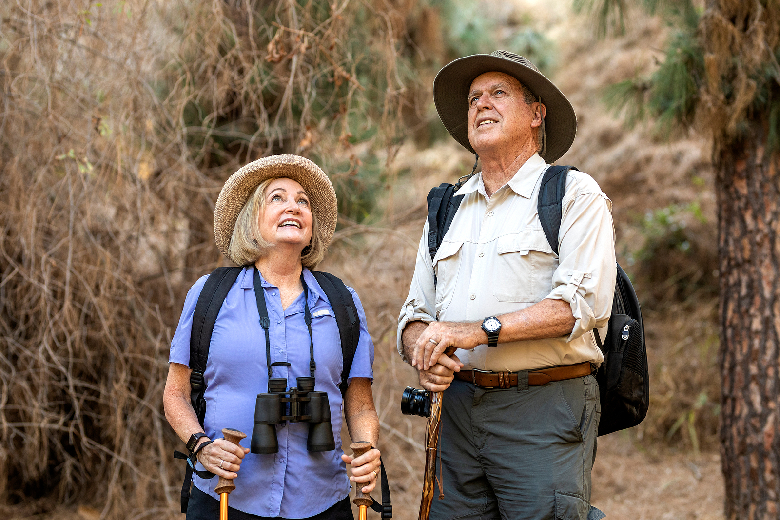 A senior couple stop to enjoy the view while on a hike.