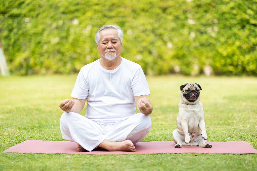 A senior man sits in a yoga pose next to a pug.