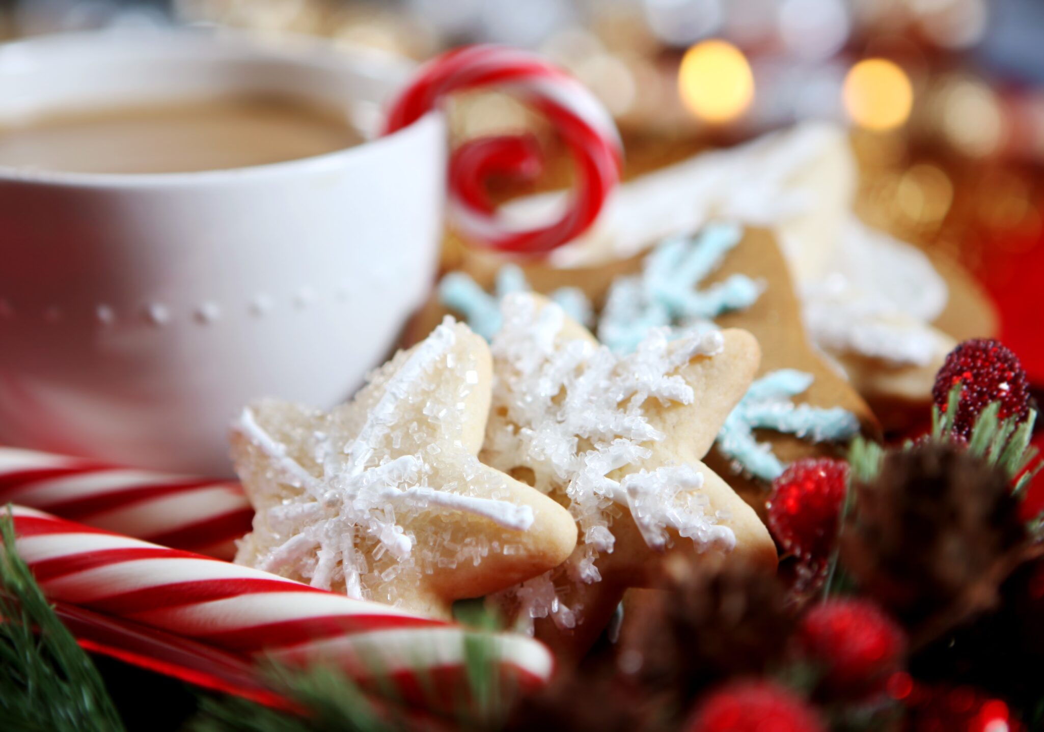 Close up of a festive plate full of holiday cookies and hot cocoa.