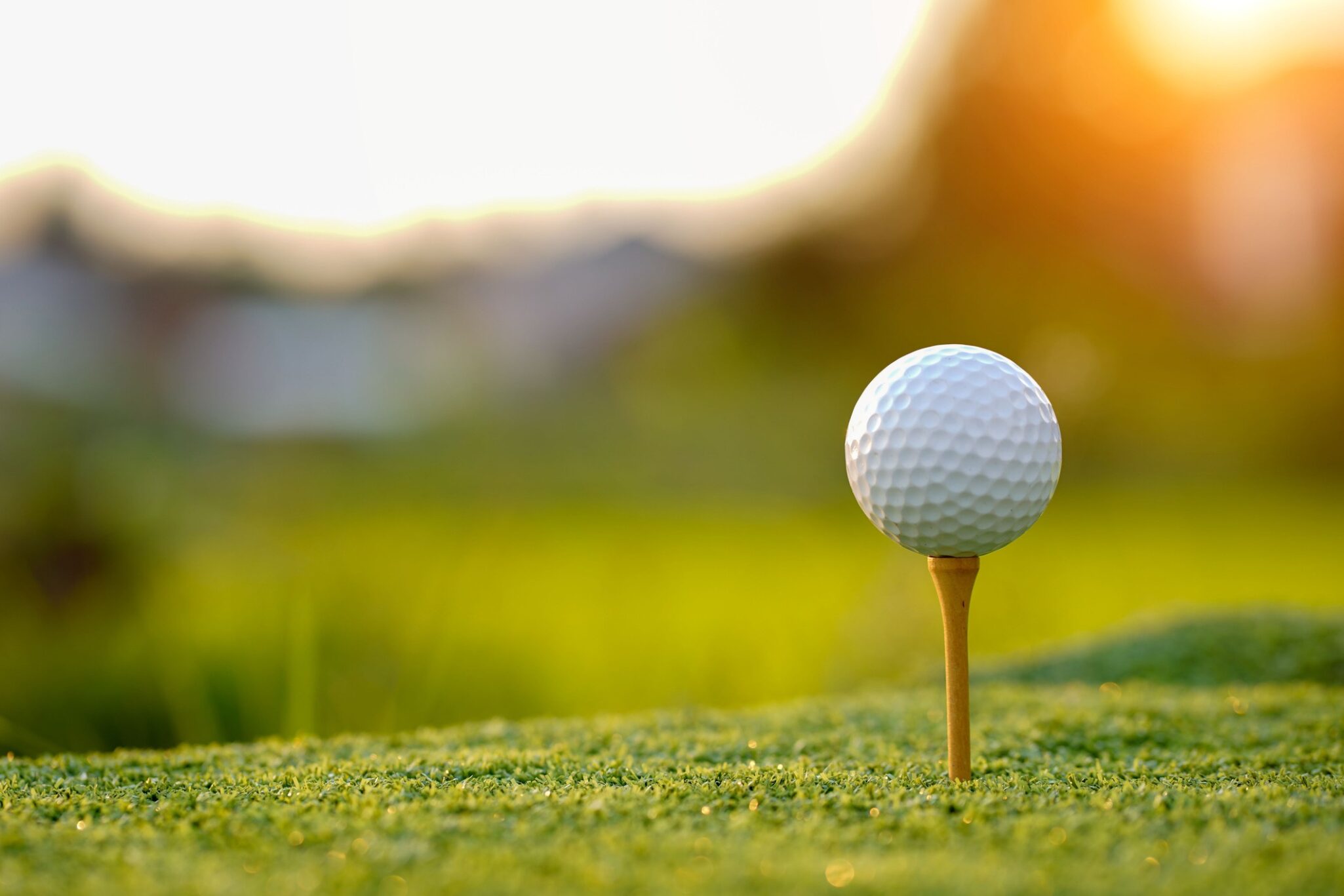 golf ball on a tee