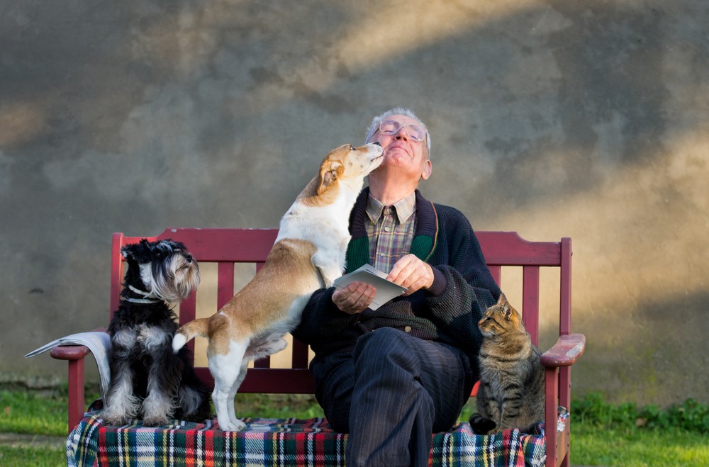 A senior man getting puppy kisses with a cat and dog on either side of him.